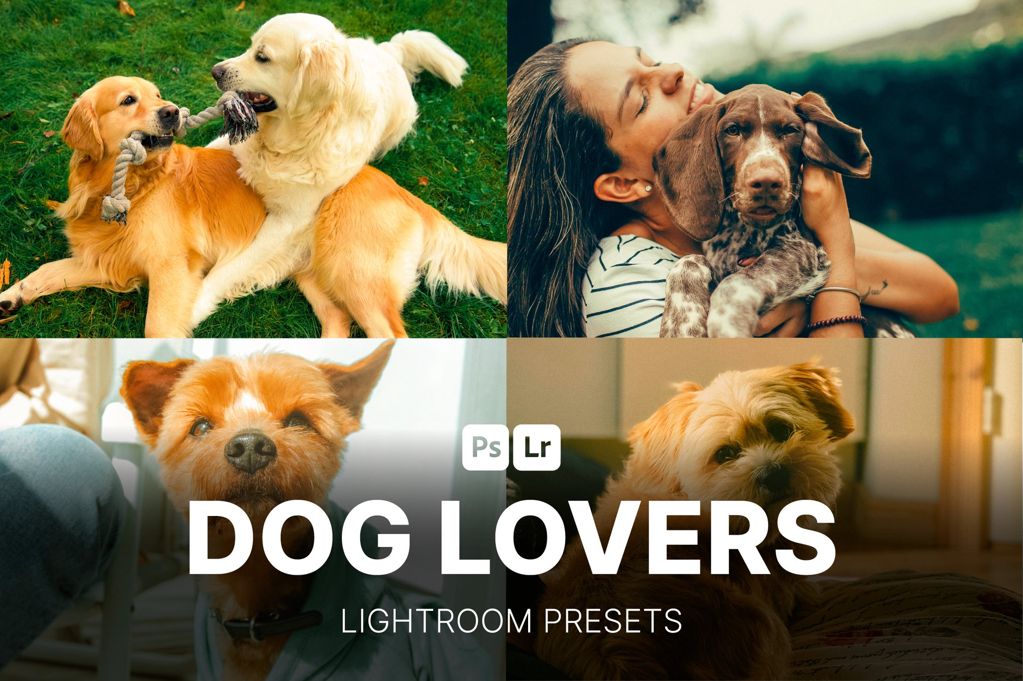 爱狗人士摄影照片后期调色Lightroom预设 Dog Lovers Lightroom Presets Desktop and Mobile插图 爱狗人士摄影照片后期调色Lightroom预设 Dog Lovers Lightroom Presets Desktop and Mobile