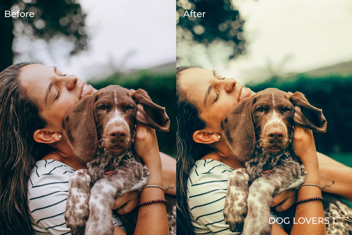爱狗人士摄影照片后期调色Lightroom预设 Dog Lovers Lightroom Presets Desktop and Mobile插图2 爱狗人士摄影照片后期调色Lightroom预设 Dog Lovers Lightroom Presets Desktop and Mobile