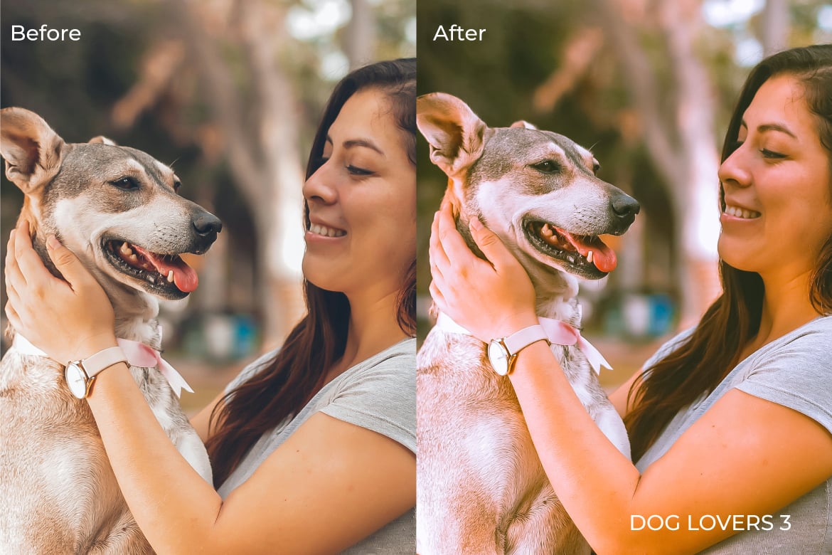 爱狗人士摄影照片后期调色Lightroom预设 Dog Lovers Lightroom Presets Desktop and Mobile插图1 爱狗人士摄影照片后期调色Lightroom预设 Dog Lovers Lightroom Presets Desktop and Mobile