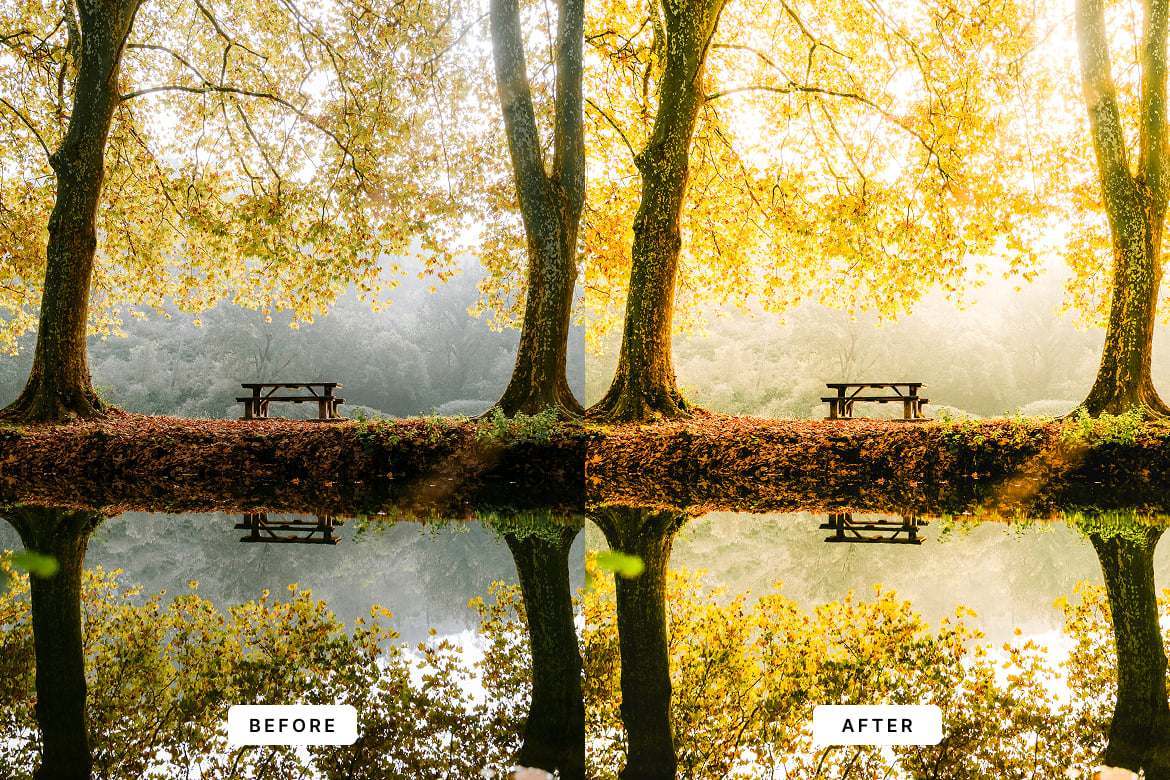 温暖梦幻风格照片后期调色Lightroom预设 Warm Dream Lightroom Presets Desktop and Mobile插图2 温暖梦幻风格照片后期调色Lightroom预设 Warm Dream Lightroom Presets Desktop and Mobile