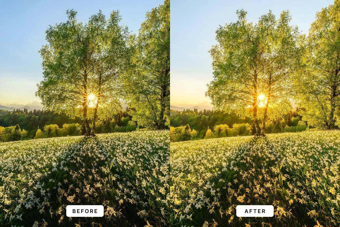 温暖梦幻风格照片后期调色Lightroom预设 Warm Dream Lightroom Presets Desktop and Mobile插图3 温暖梦幻风格照片后期调色Lightroom预设 Warm Dream Lightroom Presets Desktop and Mobile
