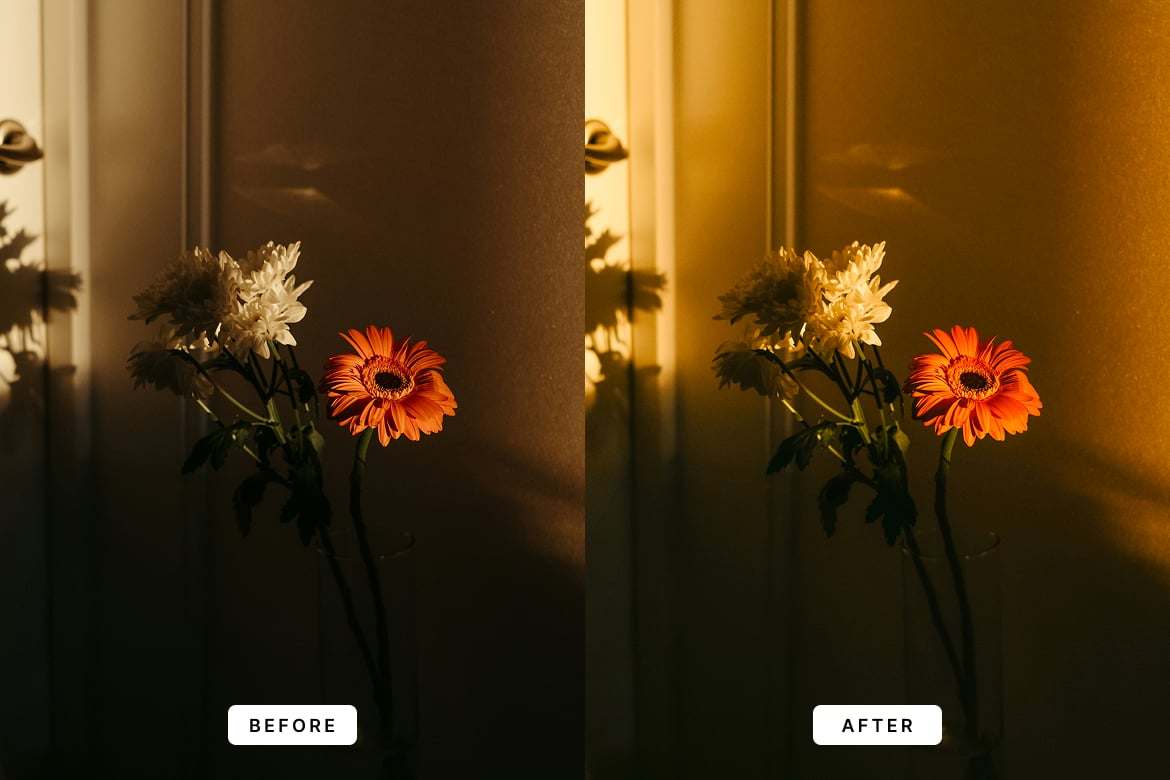 70年代复古风格照片后期处理Lightroom预设 70’s Vintage Lightroom Presets Desktop and Mobile插图3 70年代复古风格照片后期处理Lightroom预设 70's Vintage Lightroom Presets Desktop and Mobile
