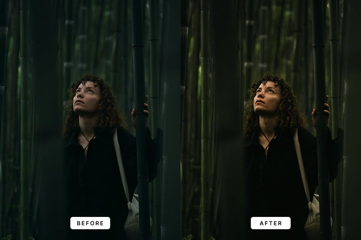 电影胶片质感照片后期调色Lightroom预设 Movie Film Lightroom Presets Desktop and Mobile插图1 电影胶片质感照片后期调色Lightroom预设 Movie Film Lightroom Presets Desktop and Mobile