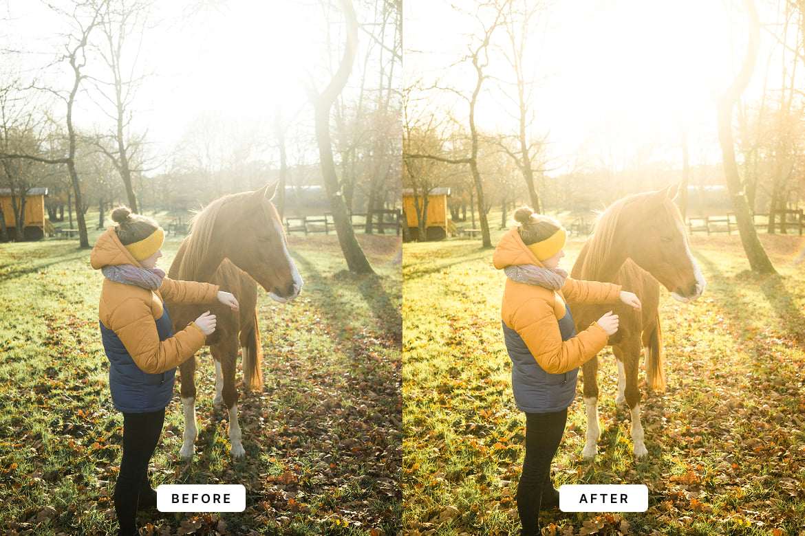 自然日光效果照片后期调色Lightroom预设 Daylight Lightroom Presets Desktop and Mobile