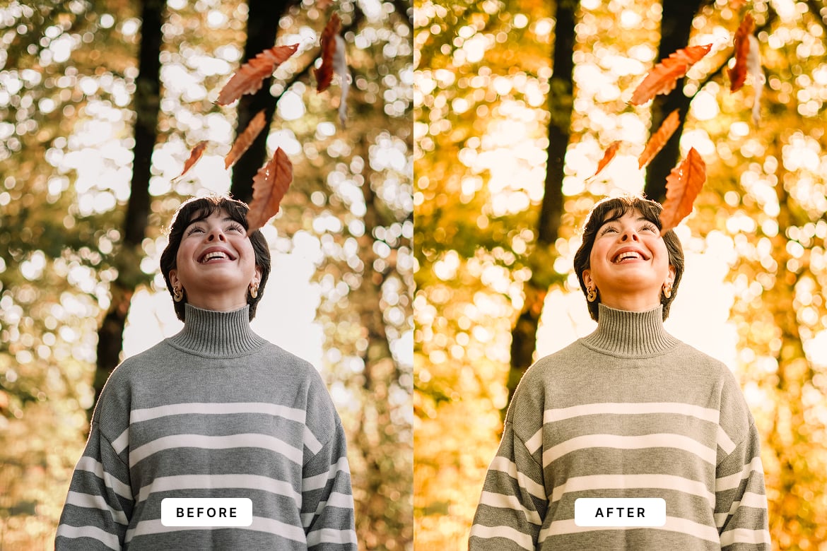 自然日光效果照片后期调色Lightroom预设 Daylight Lightroom Presets Desktop and Mobile