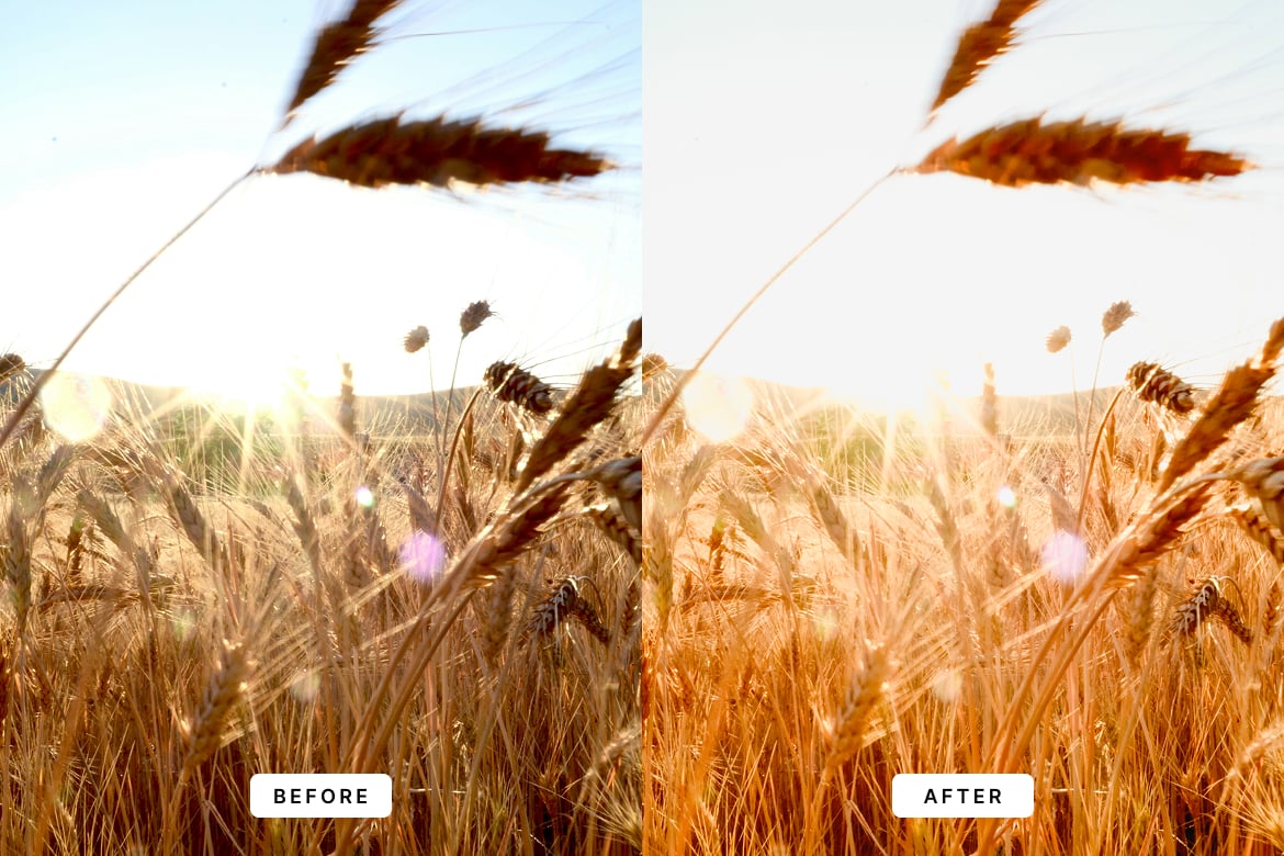 金色波西米亚风格LR预设 Golden Boho Lightroom Presets插图1 金色波西米亚风格LR预设 Golden Boho Lightroom Presets
