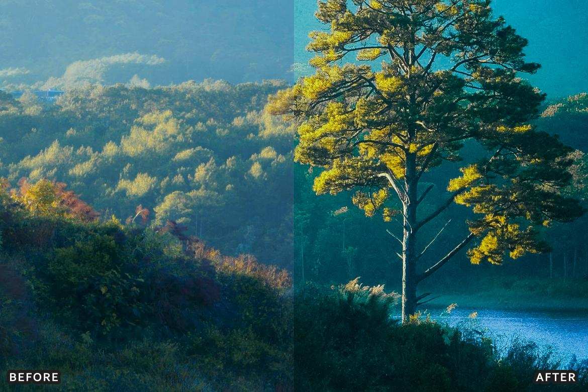 AI智能优化电影感风景自然光效Lightroom预设 AI Cinematic Landscape Nature Light Lightroom Presets Dekstop插图1 AI智能优化电影感风景自然光效Lightroom预设 AI Cinematic Landscape Nature Light Lightroom Presets Dekstop