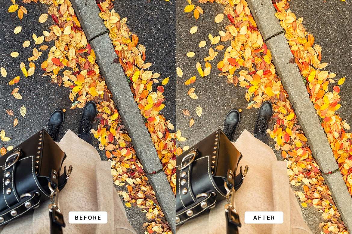 秋季色彩故事ins风Lightroom预设 Insta Story Lightroom Presets Dekstop
