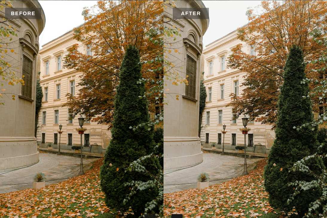 老钱风高级感照片调色Lightroom预设 Old Money Lightroom Presets Dekstop and Mobile插图1 老钱风高级感照片调色Lightroom预设 Old Money Lightroom Presets Dekstop and Mobile