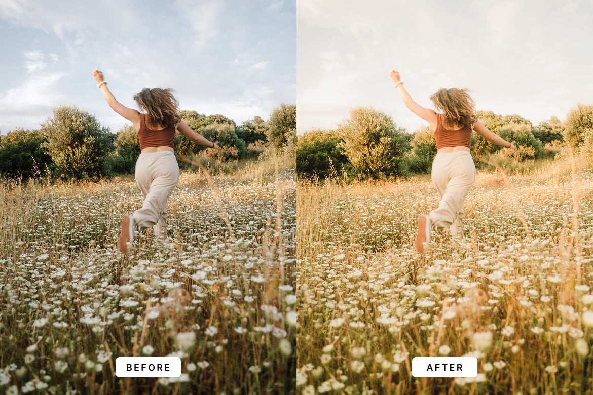 梦幻胶片感照片调色Lightroom预设 Dreamy Film Lightroom Presets插图1 梦幻胶片感照片调色Lightroom预设 Dreamy Film Lightroom Presets