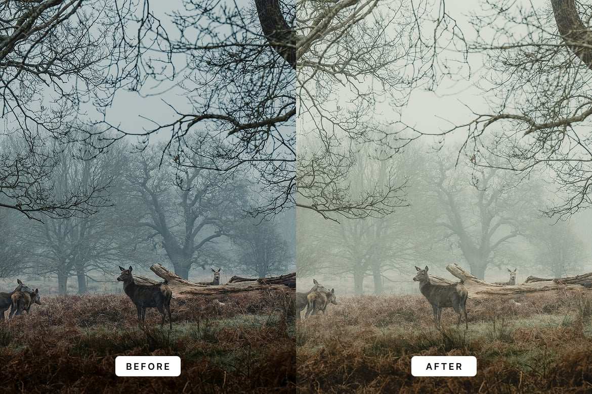 清晨薄雾氛围感风景照片LR预设 Morning Fog Lightroom Presets插图2 清晨薄雾氛围感风景照片LR预设 Morning Fog Lightroom Presets