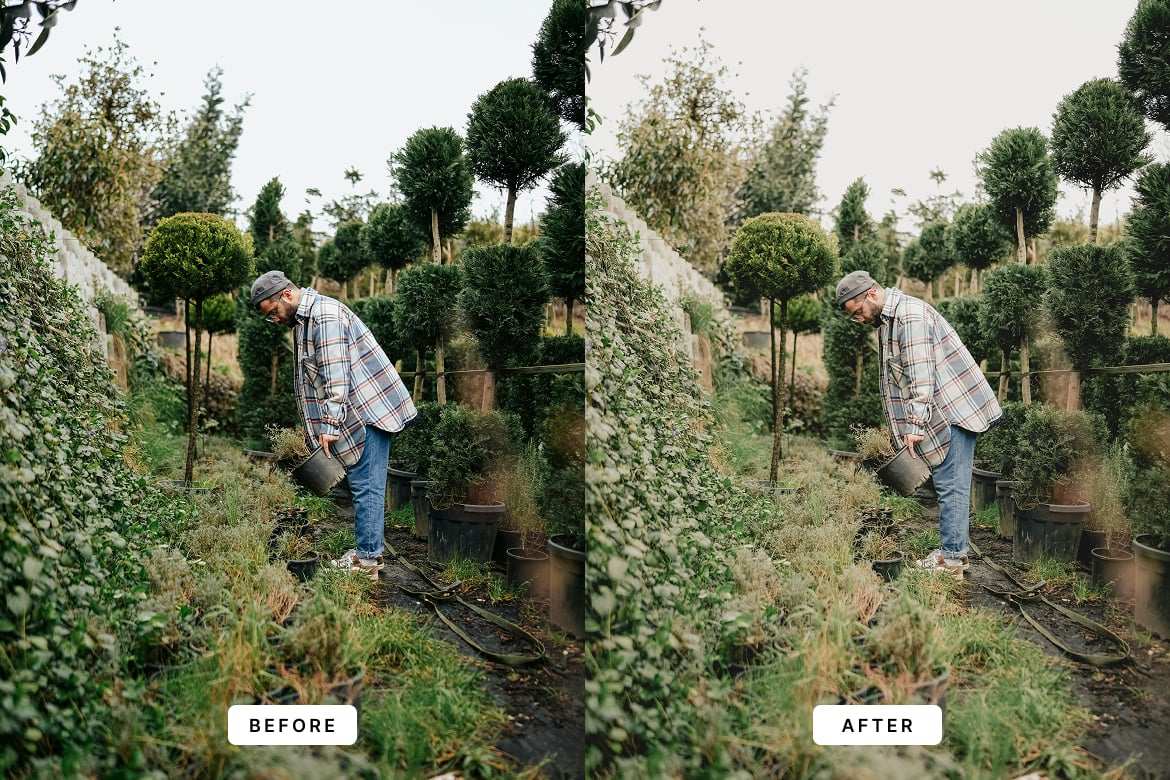 植物花卉 botanical 摄影后期LR预设 Botanical Lightroom Presets插图2 植物花卉 botanical 摄影后期LR预设 Botanical Lightroom Presets