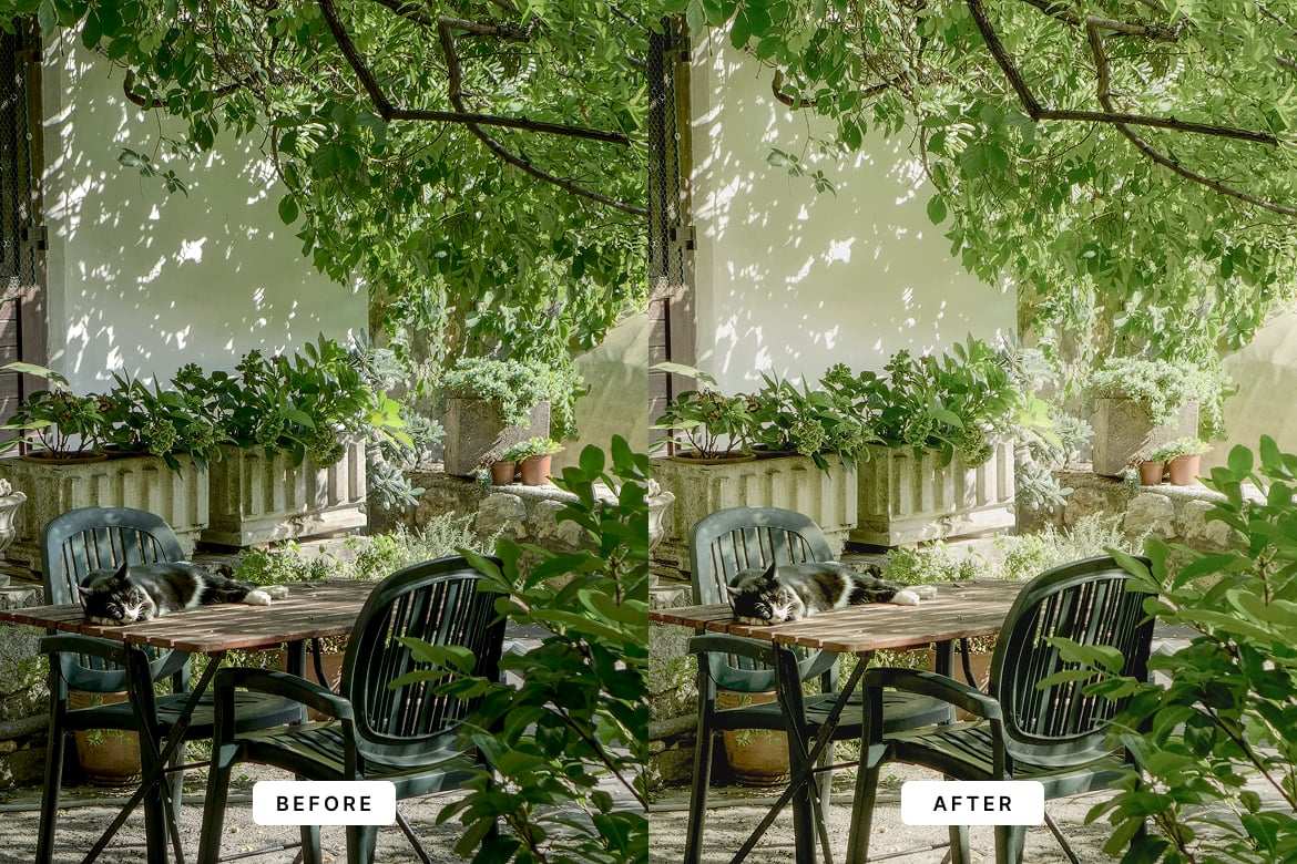 植物花卉 botanical 摄影后期LR预设 Botanical Lightroom Presets插图 植物花卉 botanical 摄影后期LR预设 Botanical Lightroom Presets