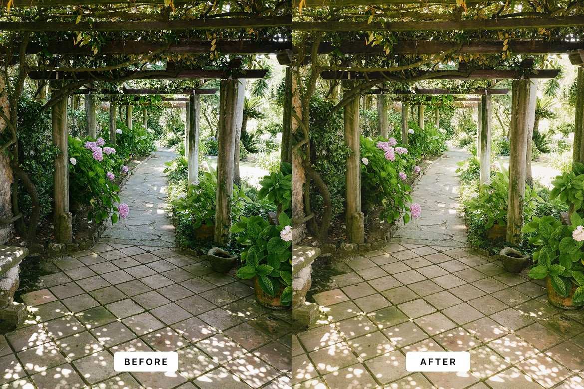 植物花卉 botanical 摄影后期LR预设 Botanical Lightroom Presets插图1 植物花卉 botanical 摄影后期LR预设 Botanical Lightroom Presets