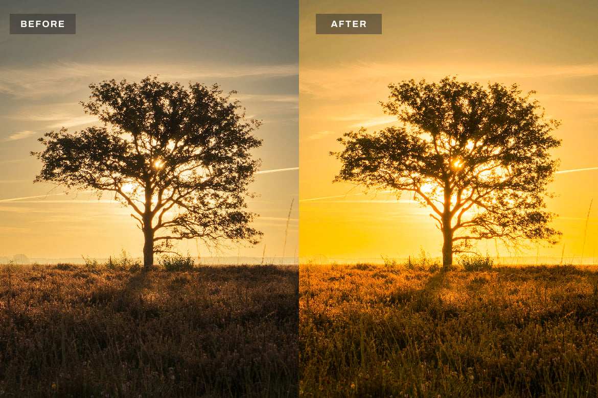 黄金时刻暖色调风光人像LR预设 Golden Hours Lightroom Presets插图 黄金时刻暖色调风光人像LR预设 Golden Hours Lightroom Presets