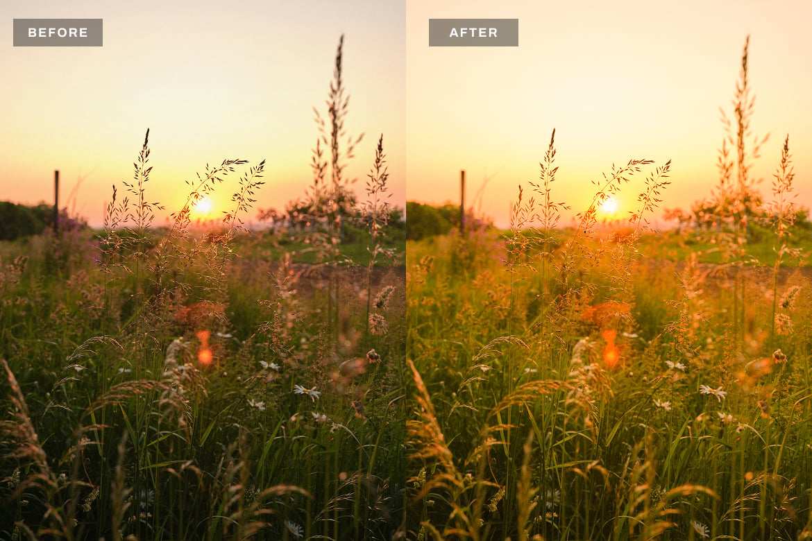黄金时刻暖色调风光人像LR预设 Golden Hours Lightroom Presets插图2 黄金时刻暖色调风光人像LR预设 Golden Hours Lightroom Presets