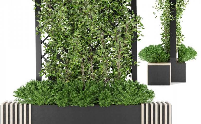 绿植花坛绿植墙3D模型 Collection plant vol 16