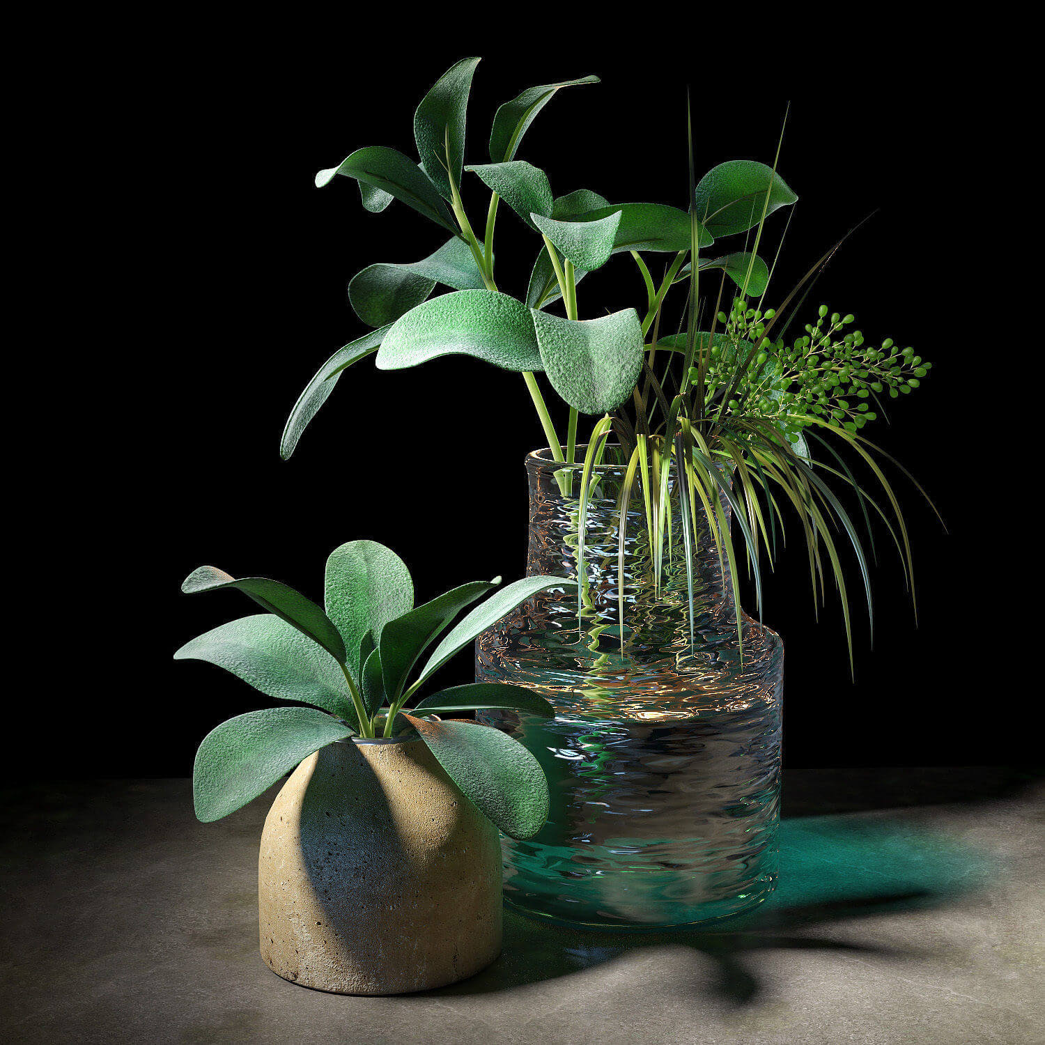 绵毛水苏绿色植物3D模型 Plant set 04插图