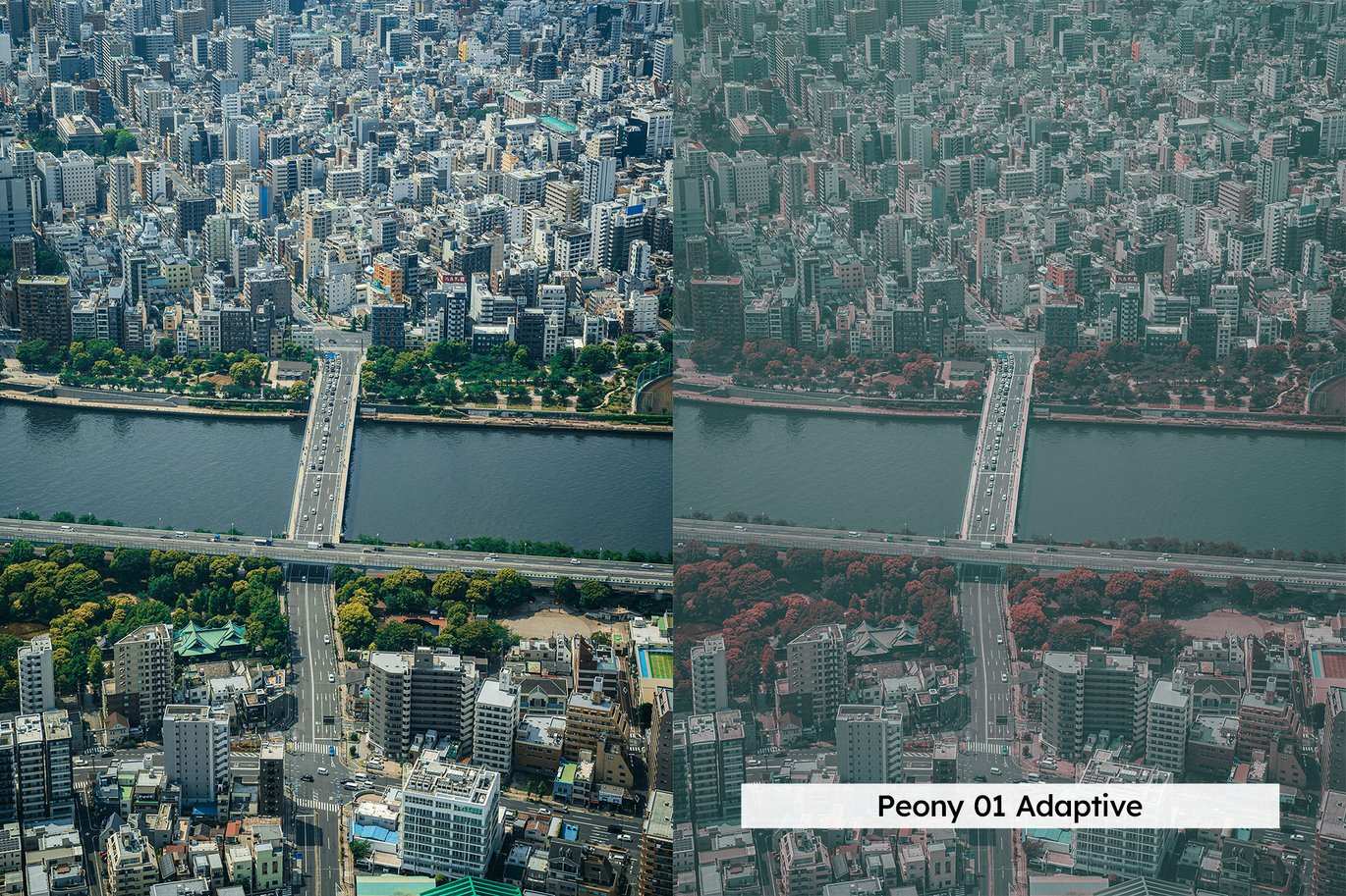 20组青粉色调人像Lightroom预设和LUT 20 Teal and Pink Lightroom Presets and LUTs插图6 20组青粉色调人像Lightroom预设和LUT 20 Teal and Pink Lightroom Presets and LUTs