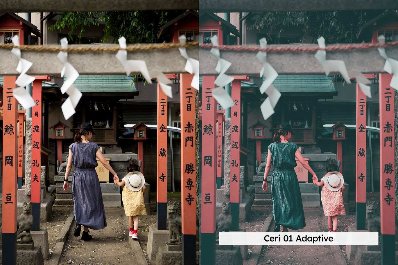 20组青粉色调人像Lightroom预设和LUT 20 Teal and Pink Lightroom Presets and LUTs插图2 20组青粉色调人像Lightroom预设和LUT 20 Teal and Pink Lightroom Presets and LUTs