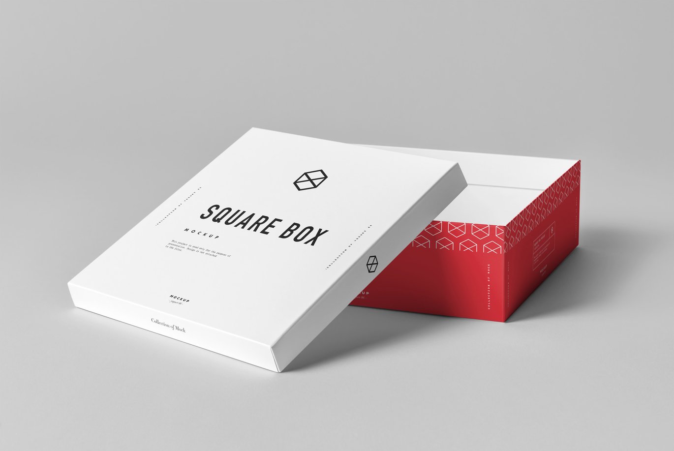 方形鞋盒设计展示样机 Square Shoe Box Mockup插图6 方形鞋盒设计展示样机 Square Shoe Box Mockup