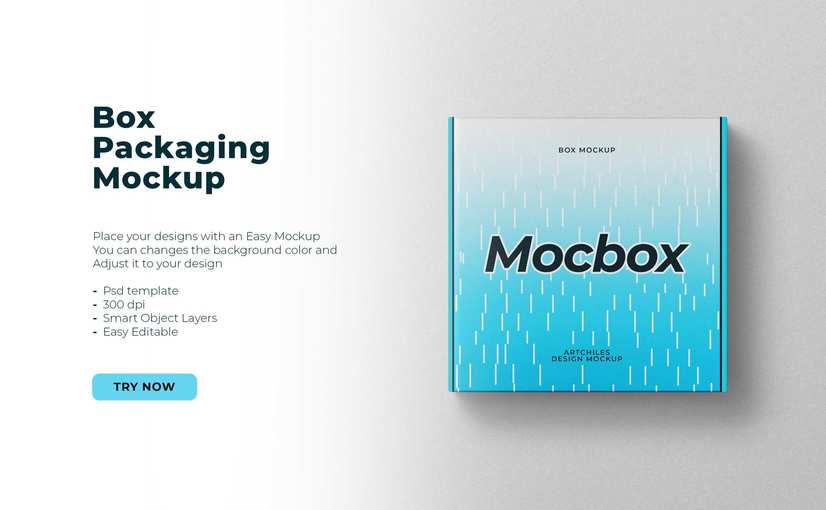 纸质收纳盒展示样机 Box Mockup