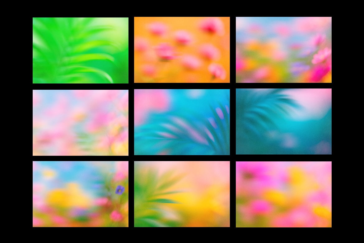 9款花园雾气朦胧背景 Garden Mist Backgrounds插图1 9款花园雾气朦胧背景 Garden Mist Backgrounds