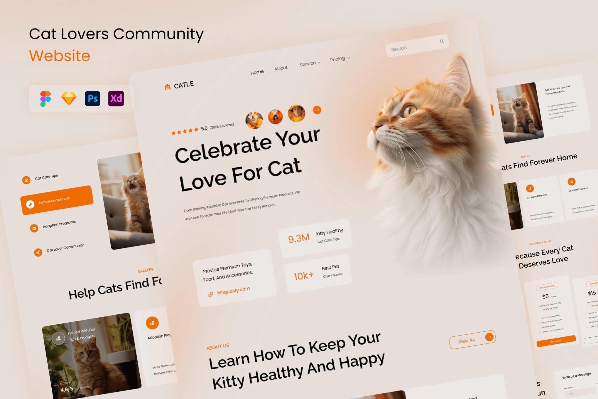 爱猫者社区网站UI设计模板 Catle – Cat Lovers Community Website Template插图 爱猫者社区网站UI设计模板 Catle - Cat Lovers Community Website Template
