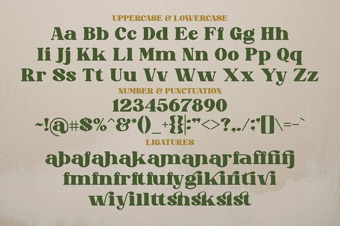 现代复古趣味甜系衬线字体 sweet-mango-modern-retro-serif插图4 现代复古趣味甜系衬线字体 sweet-mango-modern-retro-serif