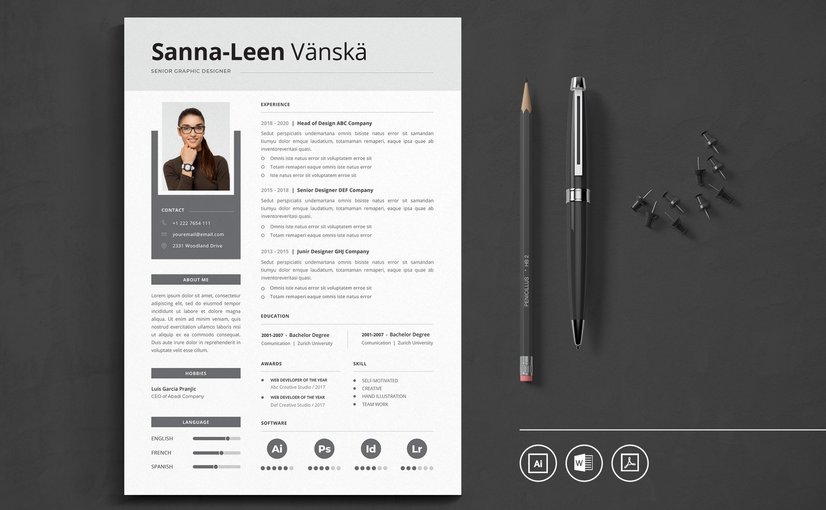 现代简约CV简历模板 Vol.44 Professional CV Resume Template Vol.44