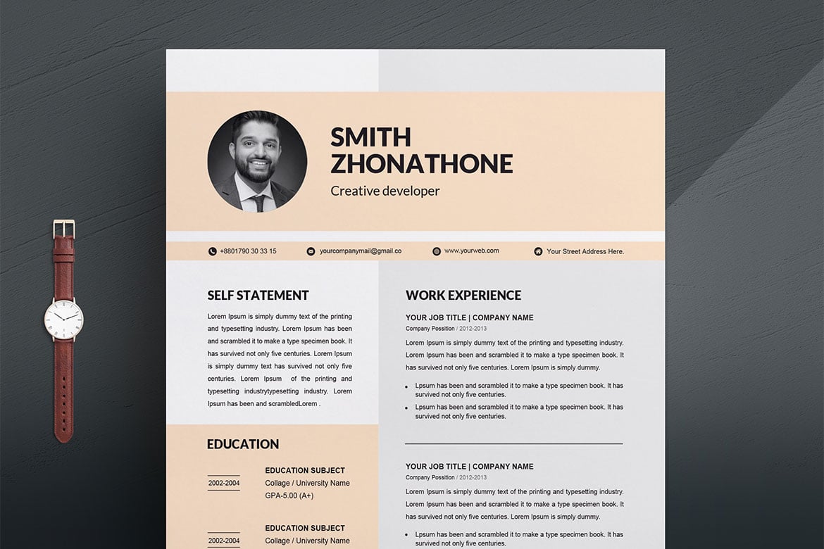 专业CV履历表模板 Professional CV Template Print Templates插图3 专业CV履历表模板 Professional CV Template Print Templates