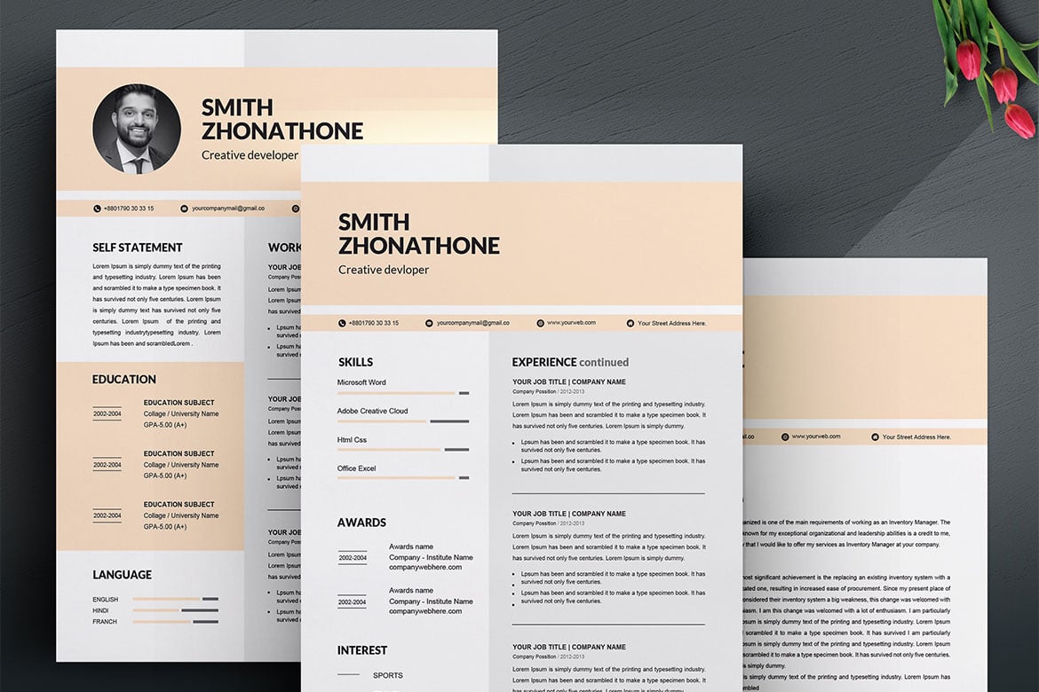 专业CV履历表模板 Professional CV Template Print Templates插图2 专业CV履历表模板 Professional CV Template Print Templates