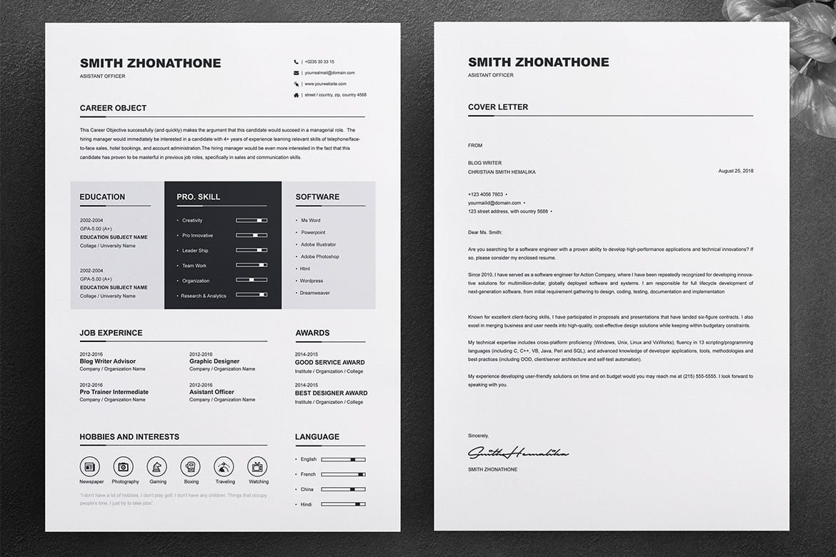 简洁专业简历设计模板 clean-and-professional-resume插图2 简洁专业简历设计模板 clean-and-professional-resume