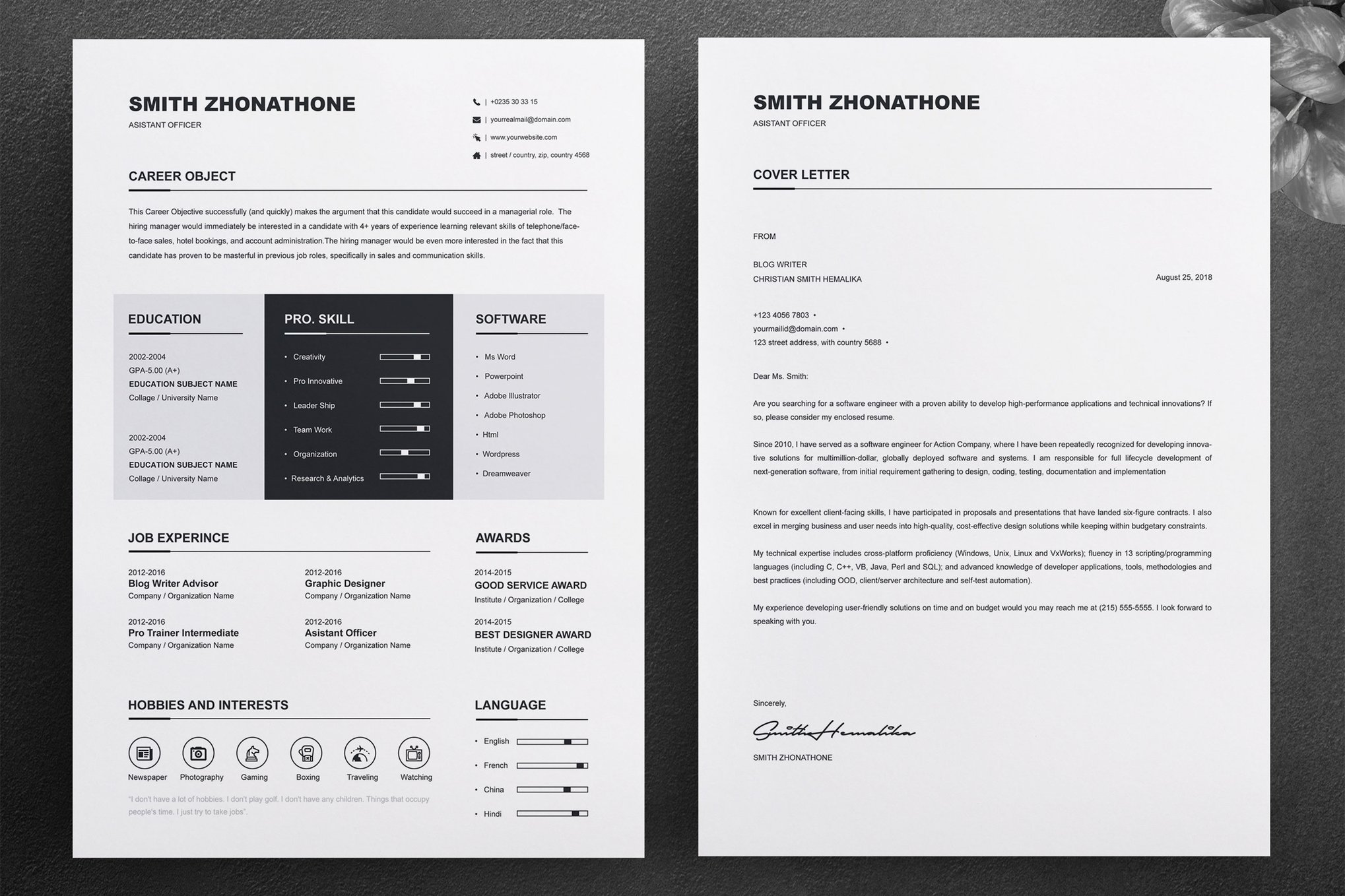 简洁专业简历设计模板 clean-and-professional-resume插图 简洁专业简历设计模板 clean-and-professional-resume