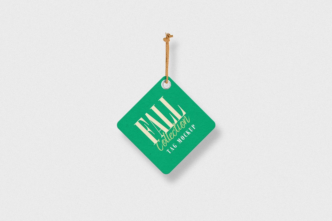 服装标签吊牌套装样机 Label Tags Mockups插图4 服装标签吊牌套装样机 Label Tags Mockups