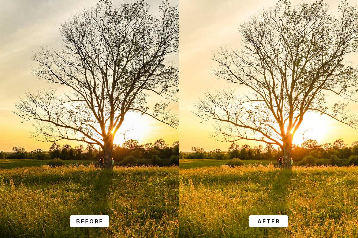 黄金时刻效果调色 Lightroom 预设 Golden Hour Lightroom Presets插图1 黄金时刻效果调色 Lightroom 预设 Golden Hour Lightroom Presets