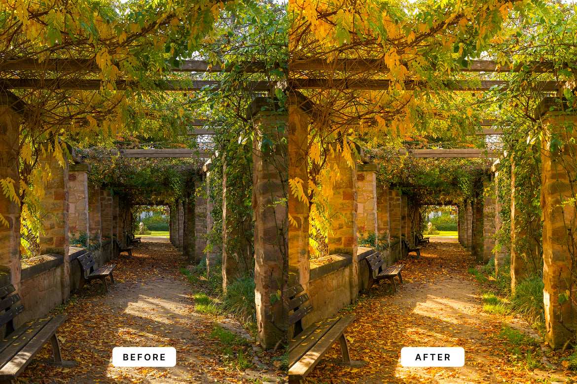 黄金时刻效果调色 Lightroom 预设 Golden Hour Lightroom Presets插图2 黄金时刻效果调色 Lightroom 预设 Golden Hour Lightroom Presets