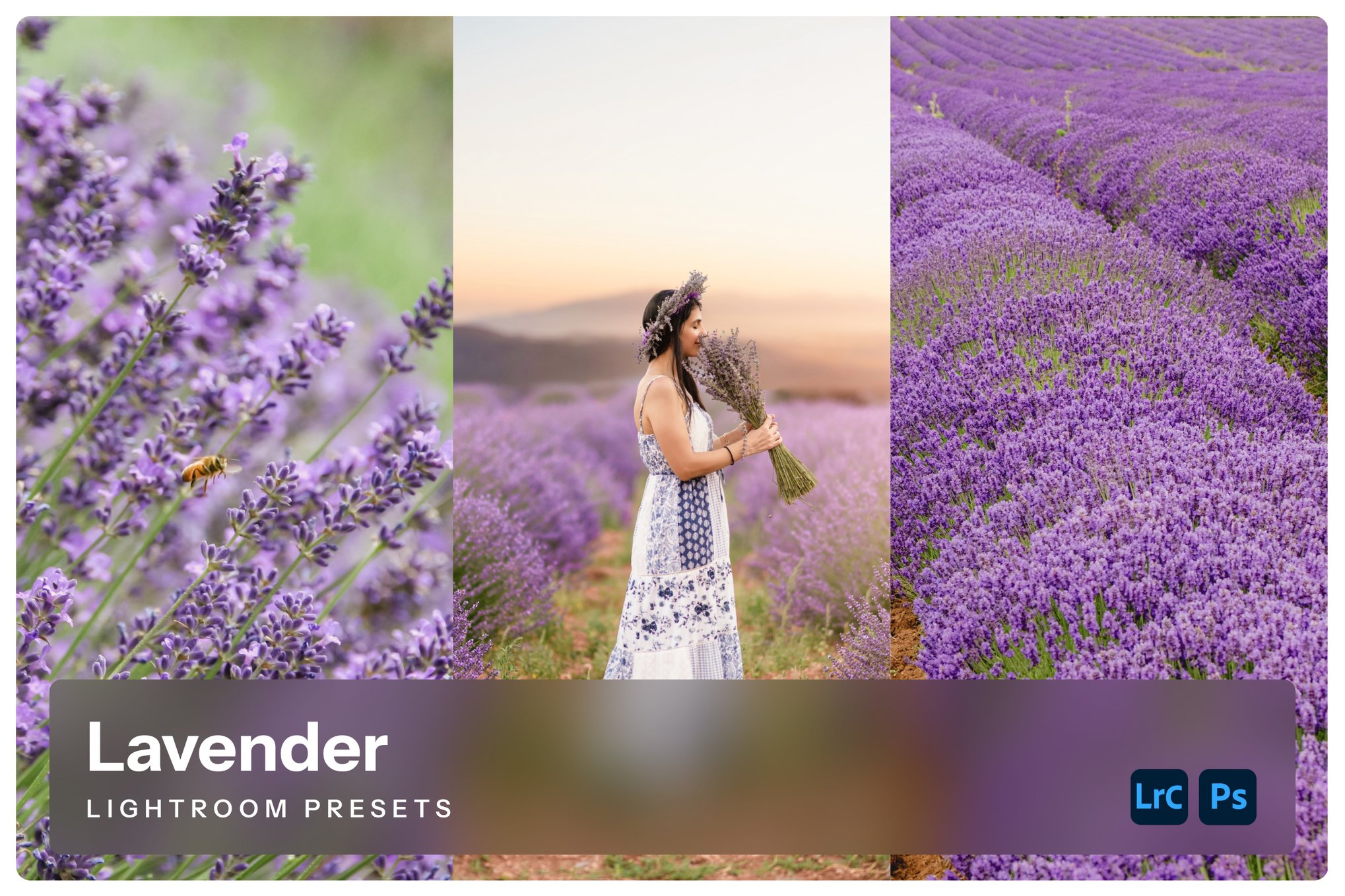 薰衣草色调照片处理 Lightroom 预设 Lavender Lightroom Presets插图 薰衣草色调照片处理 Lightroom 预设 Lavender Lightroom Presets