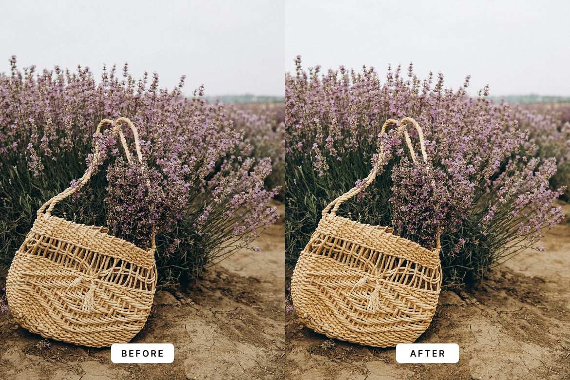 薰衣草色调摄影后期  Lightroom 预设 Lavender Lightroom Presets插图1 薰衣草色调摄影后期  Lightroom 预设 Lavender Lightroom Presets