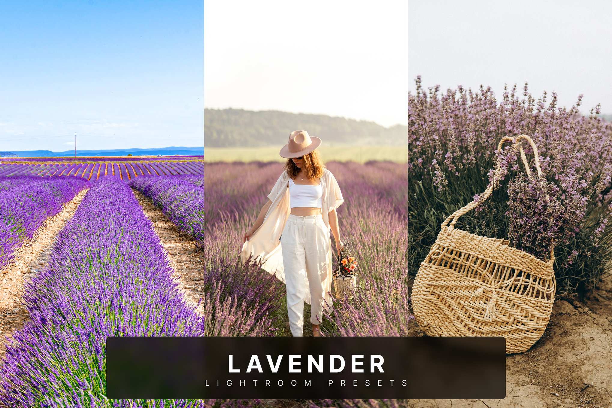 薰衣草色调摄影后期  Lightroom 预设 Lavender Lightroom Presets插图 薰衣草色调摄影后期  Lightroom 预设 Lavender Lightroom Presets