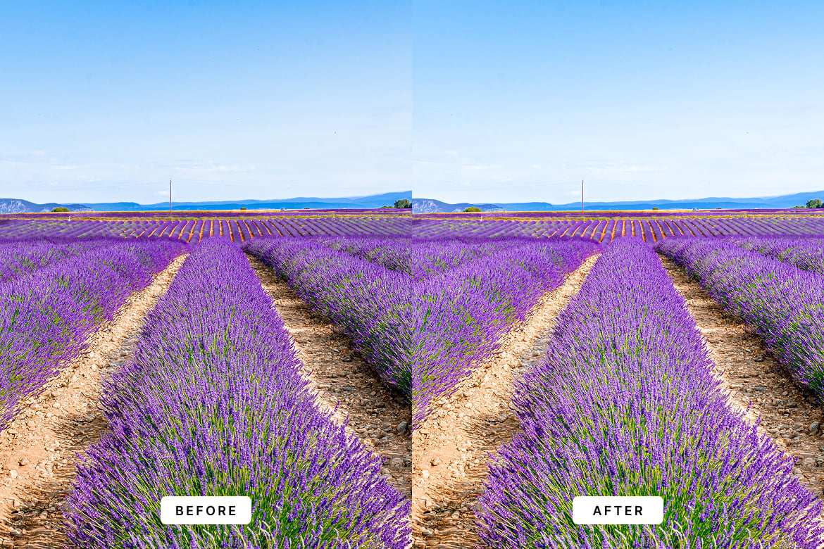 薰衣草色调摄影后期  Lightroom 预设 Lavender Lightroom Presets插图3 薰衣草色调摄影后期  Lightroom 预设 Lavender Lightroom Presets