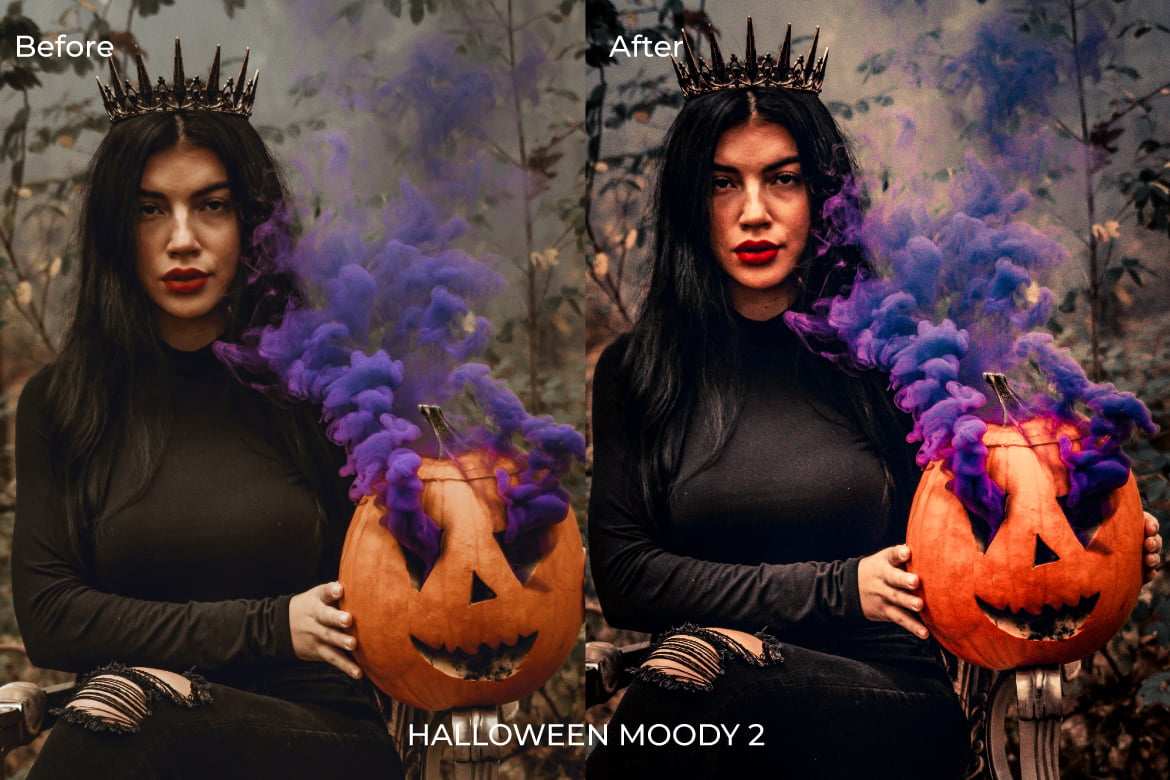 万圣节情绪暗调 Lightroom 预设 Halloween Moody Lightroom Presets插图2 万圣节情绪暗调 Lightroom 预设 Halloween Moody Lightroom Presets
