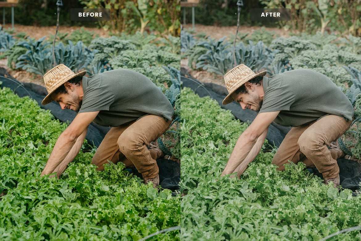 农夫田园生活风 Lightroom 预设 Farmer Lightroom Presets插图3 农夫田园生活风 Lightroom 预设 Farmer Lightroom Presets