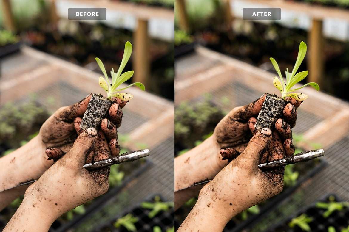 农夫田园生活风 Lightroom 预设 Farmer Lightroom Presets插图1 农夫田园生活风 Lightroom 预设 Farmer Lightroom Presets