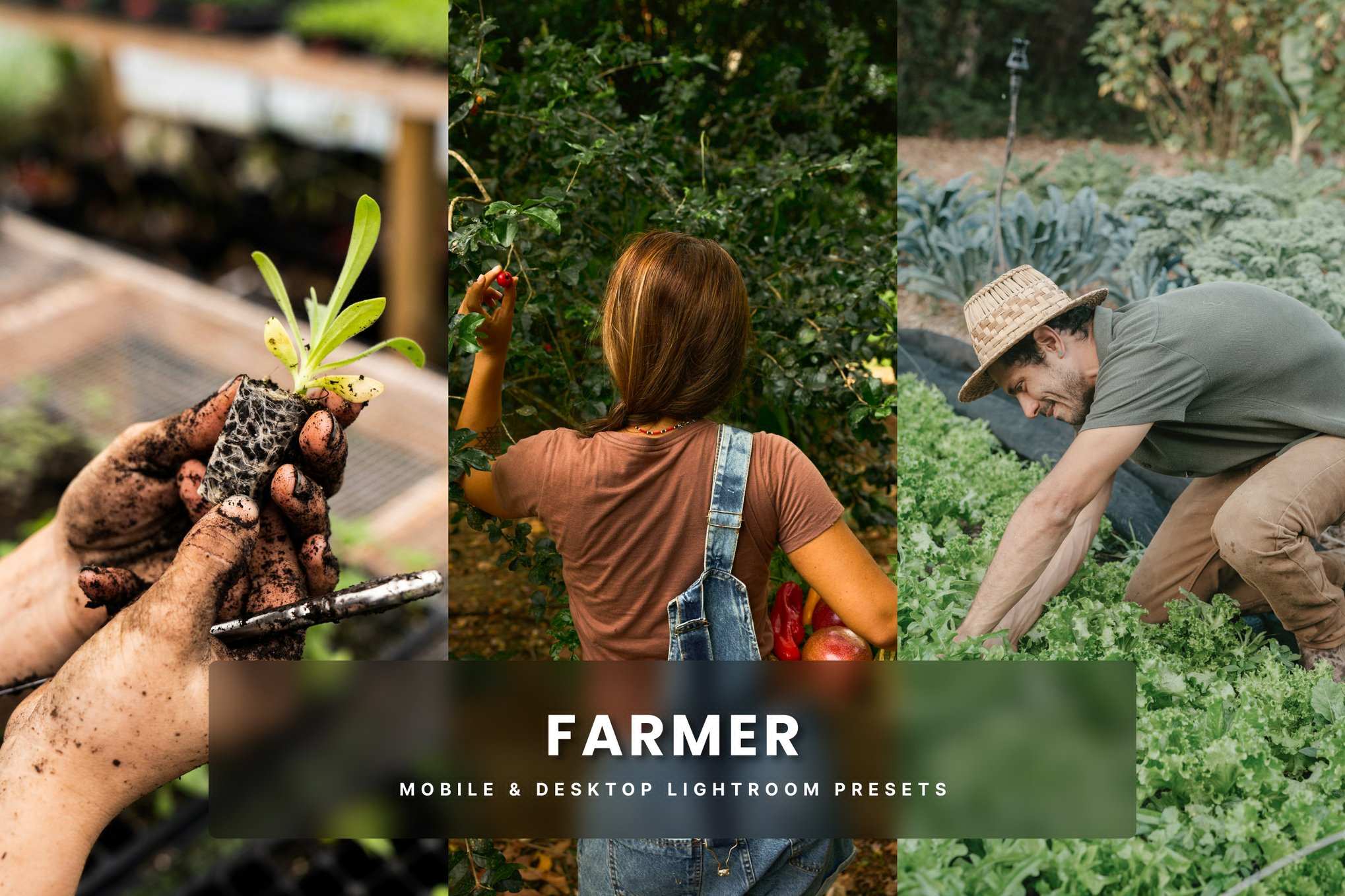 农夫田园生活风 Lightroom 预设 Farmer Lightroom Presets插图 农夫田园生活风 Lightroom 预设 Farmer Lightroom Presets