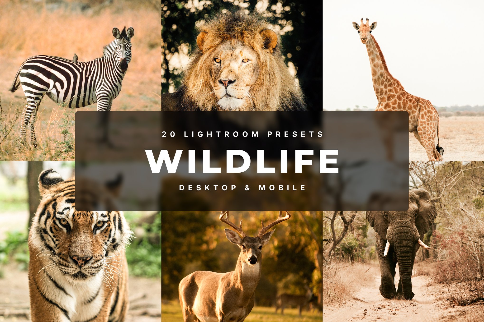 野生动物效果处理 Lightroom 预设 Wildlife Lightroom Presets插图 野生动物效果处理 Lightroom 预设 Wildlife Lightroom Presets