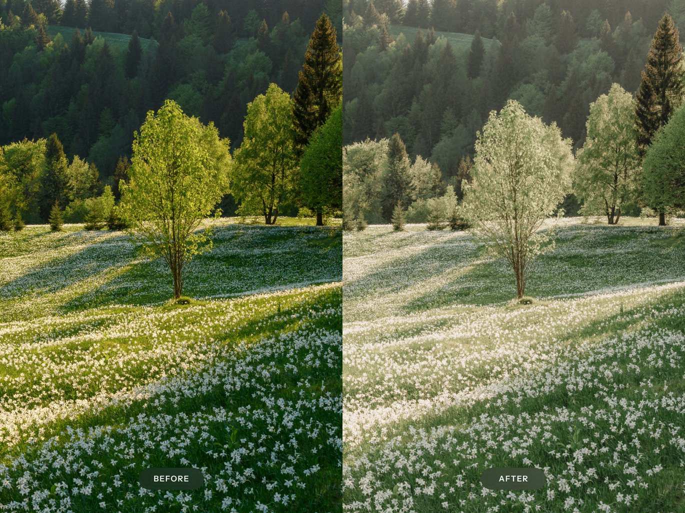 梦幻胶片感效果 Lightroom 预设 Dreamy Film Lightroom Presets插图1 梦幻胶片感效果 Lightroom 预设 Dreamy Film Lightroom Presets