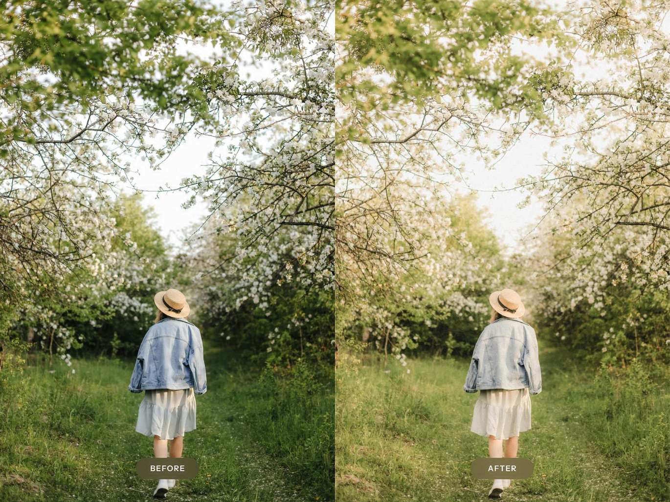 梦幻胶片感效果 Lightroom 预设 Dreamy Film Lightroom Presets插图3 梦幻胶片感效果 Lightroom 预设 Dreamy Film Lightroom Presets