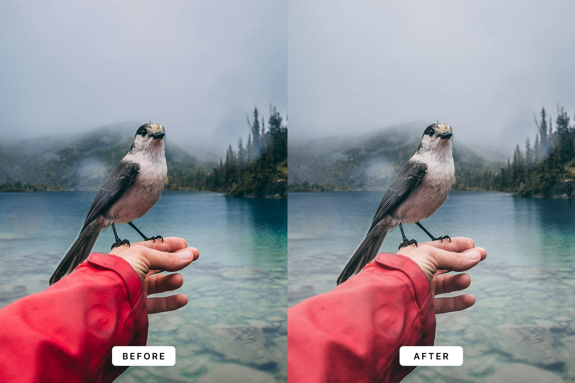Insta 电影感照片后期处理 Lightroom 预设和 Photoshop 动作 Insta Cinema Lightroom Presets and Actions插图2 Insta 电影感照片后期处理 Lightroom 预设和 Photoshop 动作 Insta Cinema Lightroom Presets and Actions