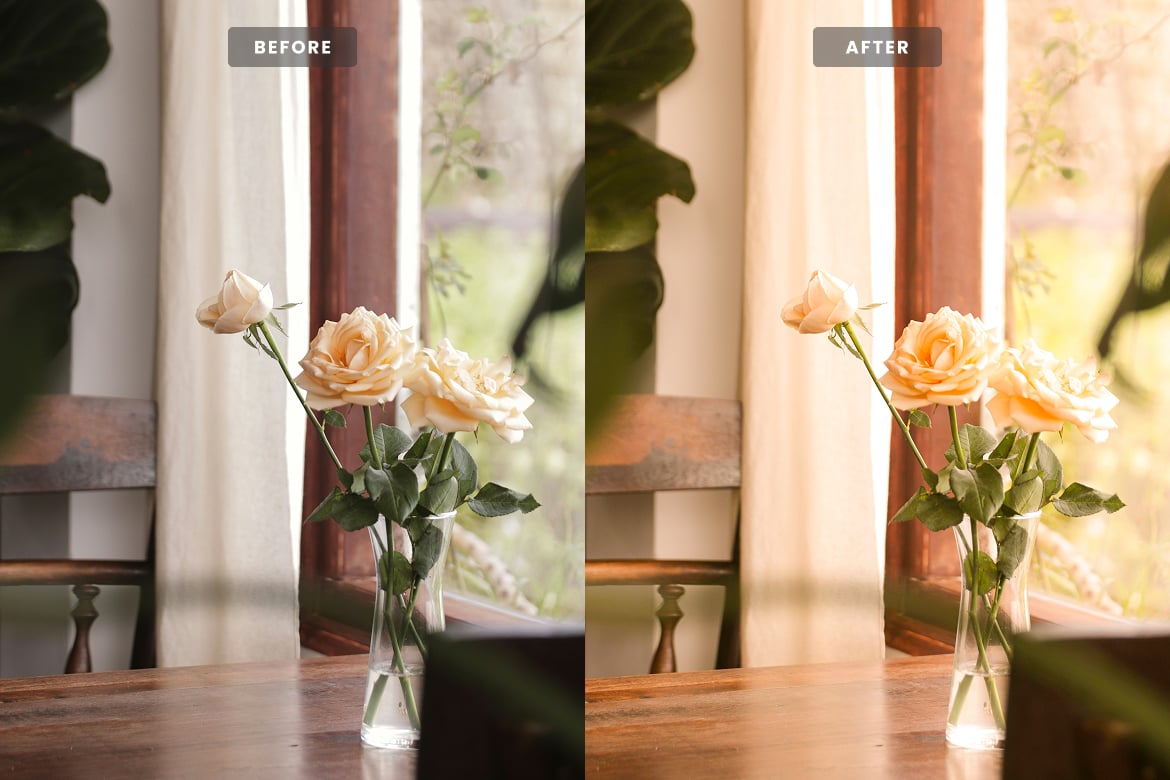 经典胶片色调照片后期调色 Lightroom 预设和 Photoshop 动作 Classic Film Lightroom Presets and Actions插图1 经典胶片色调照片后期调色 Lightroom 预设和 Photoshop 动作 Classic Film Lightroom Presets and Actions